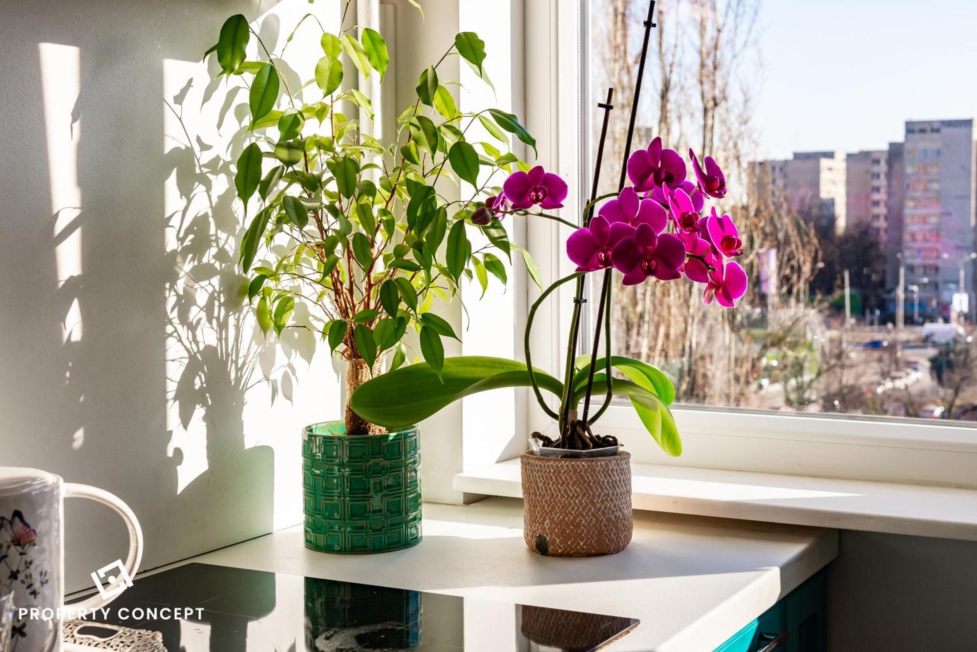 Blissful Retreat Apartment Bucarest Esterno foto