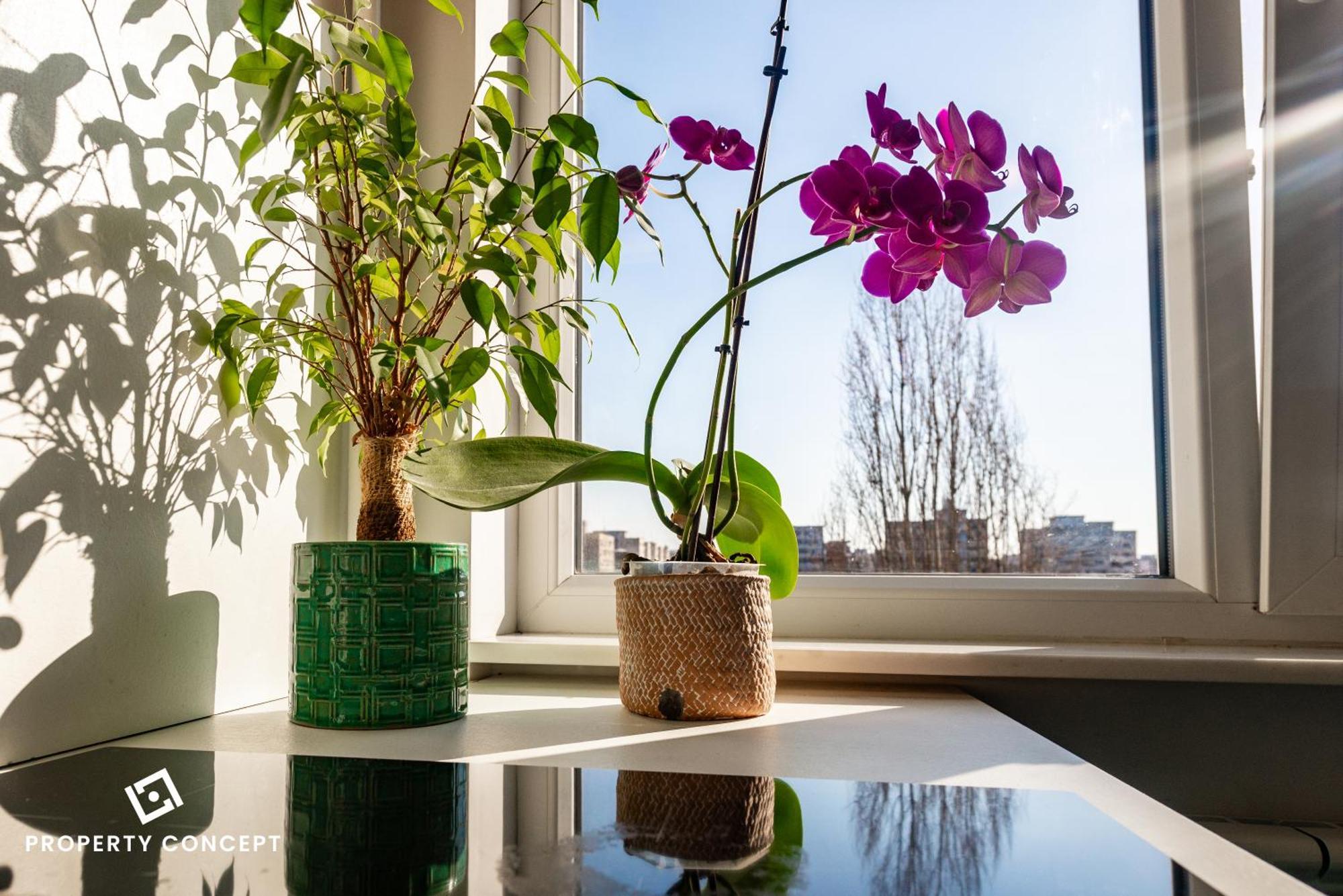 Blissful Retreat Apartment Bucarest Esterno foto